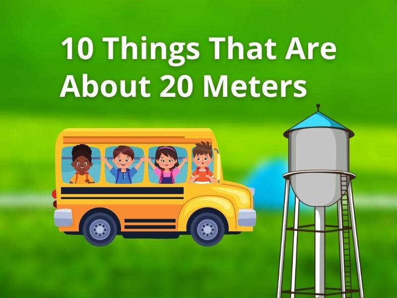 10 Things That Are About 20 Meters (m) Long